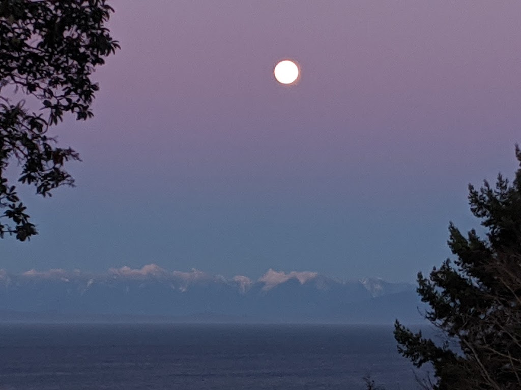 All Is One Health & Wellness | 5990 Icarus Dr, Nanaimo, BC V9V 1C8, Canada | Phone: (250) 756-9642