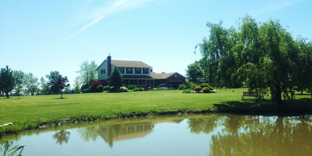 Two Willows Senior Dog Sanctuary | 259 Farr St, Fenwick, ON L0S 1C0, Canada | Phone: (647) 228-8645