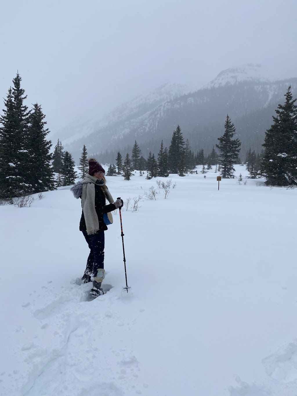 Radventures | Box 4585, 149 Eagle Crescent, Banff, AB T1L 1E8, Canada | Phone: (403) 493-9556