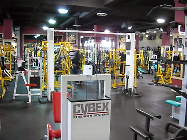 Venice Fitness | 750 Warden Ave, Scarborough, ON M1L 4A1, Canada | Phone: (416) 752-8364