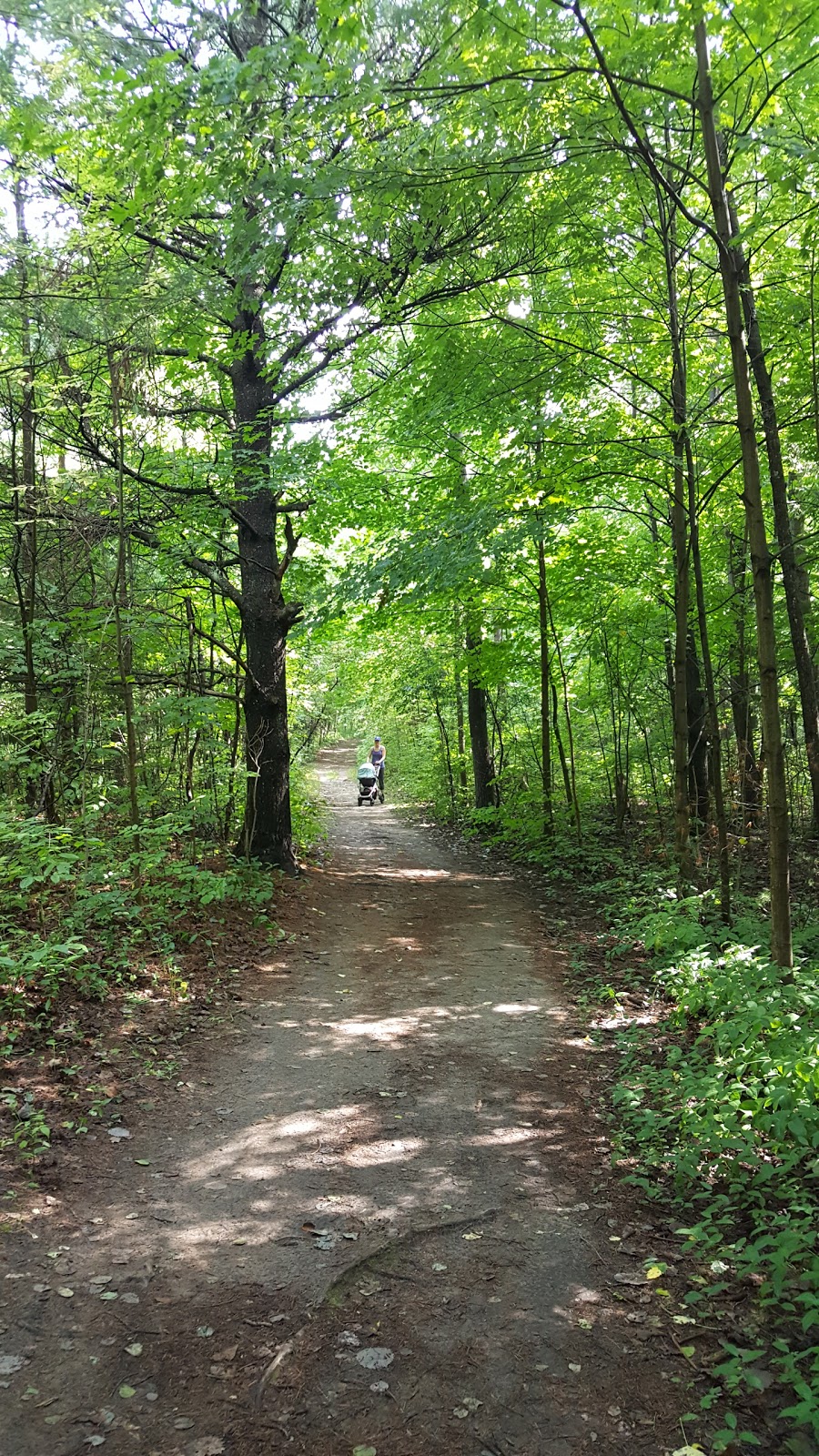 Long Sault Conservation Area | Long Sault Conservation Area, 9293 Woodley Rd, Bowmanville, ON L1C 3K6, Canada | Phone: (905) 579-0411