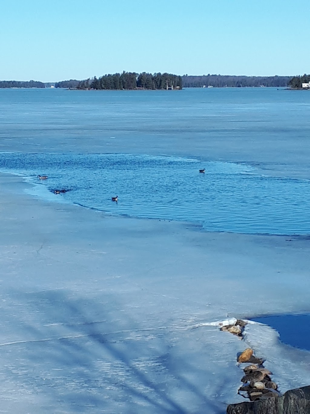 Muskoka Beach Park | 1141 Muskoka Beach Rd, Gravenhurst, ON P1P 1R1, Canada | Phone: (705) 687-3412