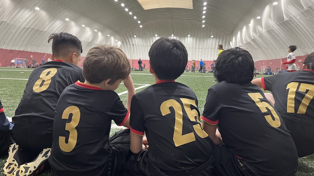 Barrie Cardinals Soccer | 59 Lampman Ln, Barrie, ON L4N 5G4, Canada | Phone: (647) 378-8742