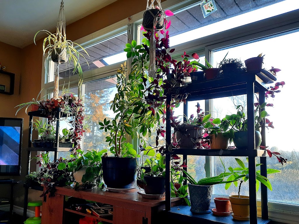 Edge of the valley | 1128 Shelter Valley Rd, Grafton, ON K0K 2G0, Canada | Phone: (289) 251-0937