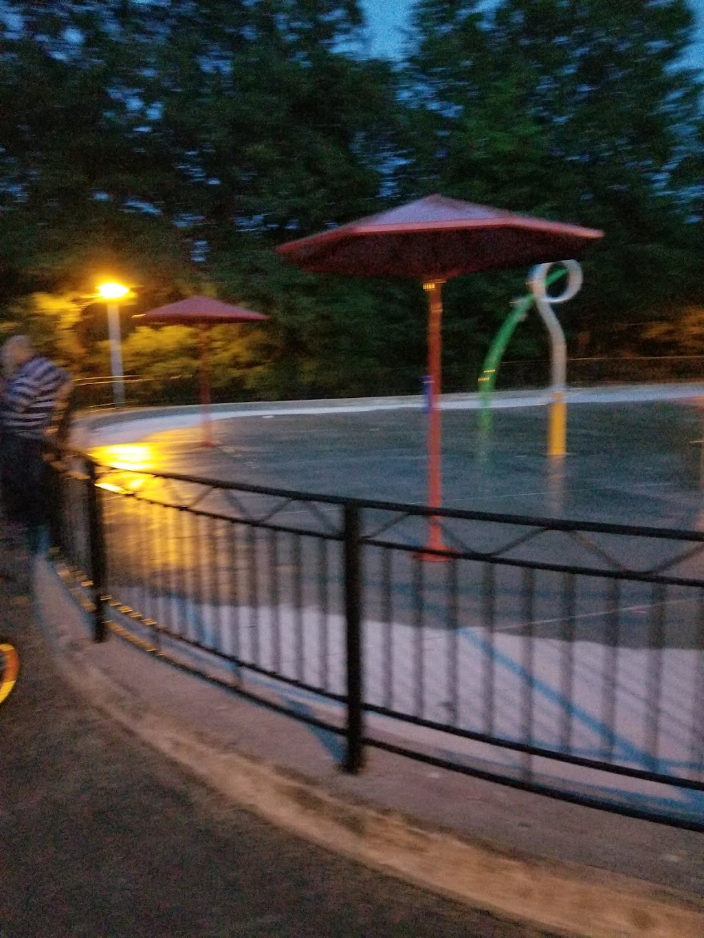 Parc Camille | 9310 Boul Gouin O, Montréal, QC H4K 1C8, Canada