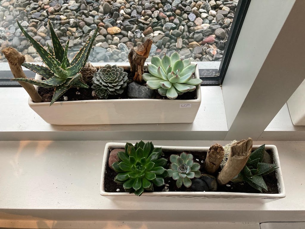 À Fleurs de Pot | 1930 Rue de lInterlude suite 101, Québec, QC G3K 0R6, Canada | Phone: (418) 845-4141