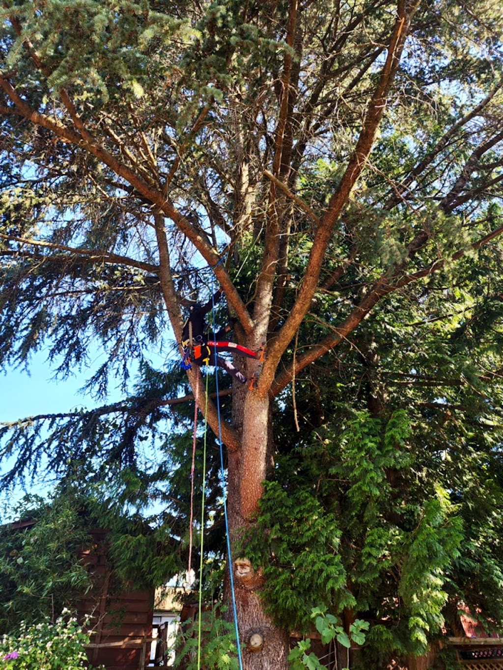 Raking it in | 12551 25 Ave, Surrey, BC V4A 2K2, Canada | Phone: (604) 783-3177