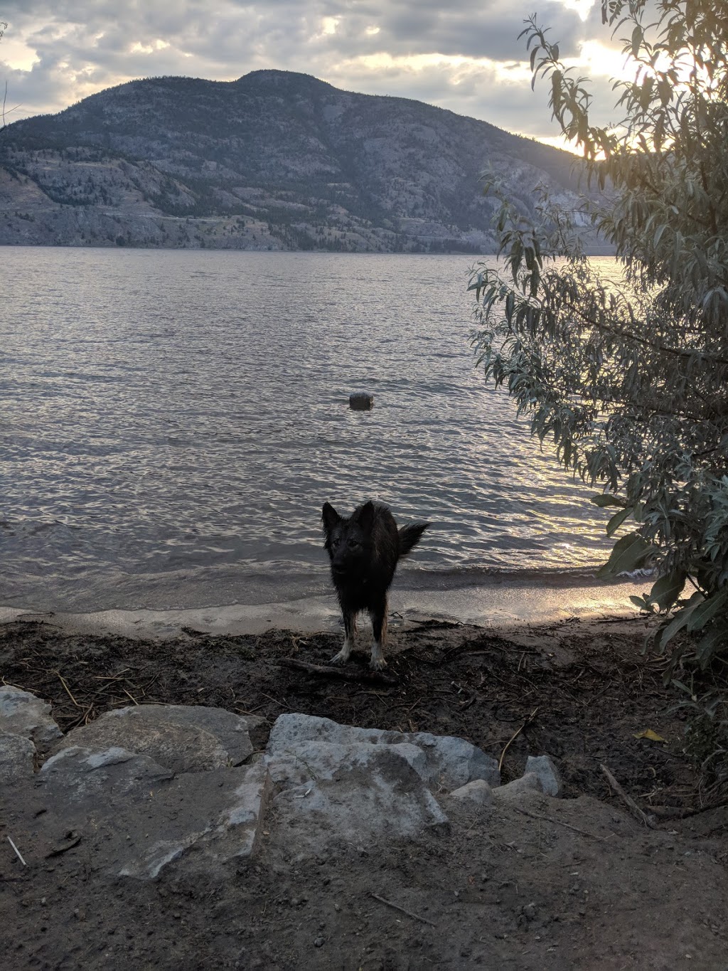 Dog Park beach | 4850-4900 Lakeside Rd, Penticton, BC V2A 8W6, Canada