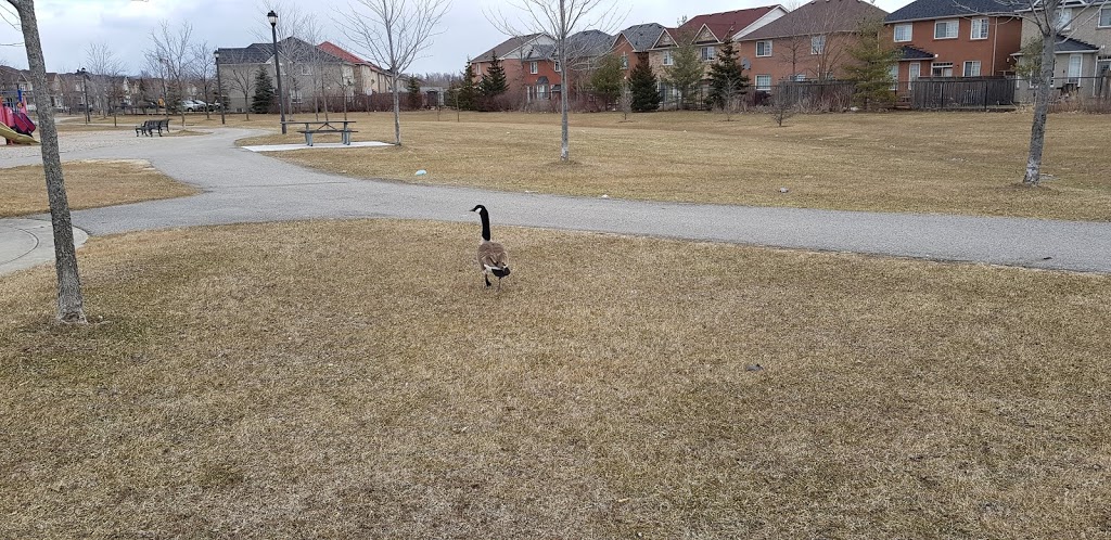 Birunthan Park | 31 Dragonfly Crescent, Scarborough, ON M1X 1W2, Canada