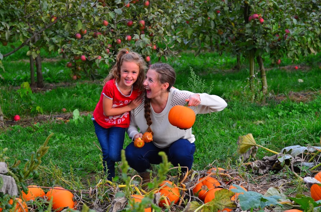 Applebarn Pumpkin Farm (Taves Farms) | 333 Gladwin Rd, Abbotsford, BC V2S 8A7, Canada | Phone: (604) 853-3108