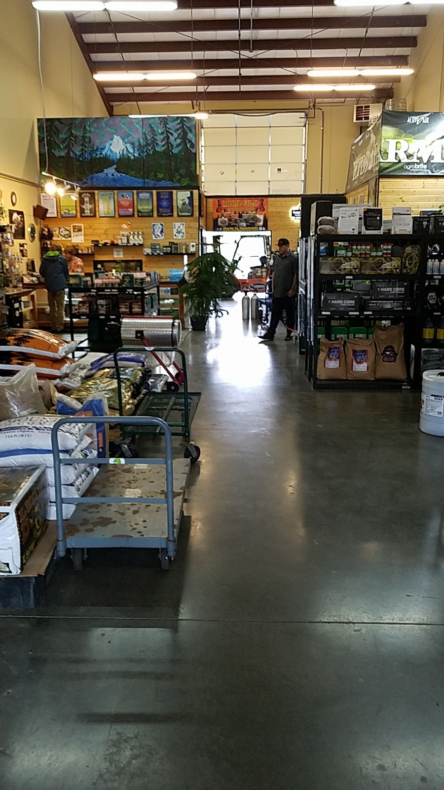 Northern Lights Gardening | 4159 Hannegan Rd, Bellingham, WA 98226, USA | Phone: (360) 715-8585
