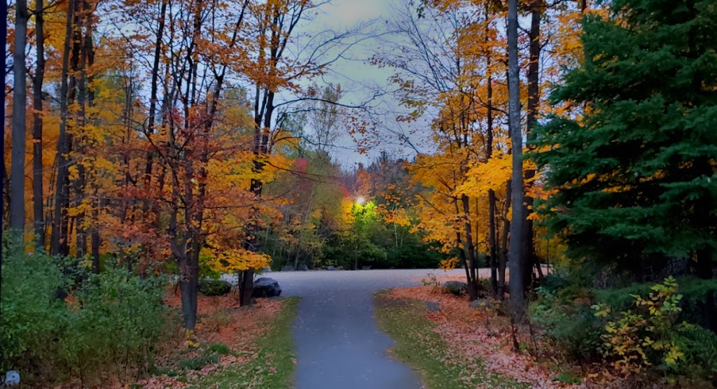 Deevy Pines Park | 65 Stonehaven Dr, Ottawa, ON K2K 1A1, Canada | Phone: (613) 580-2400