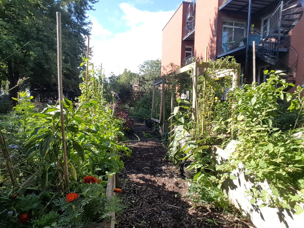 Agriculture Urbaine Garden | Hochelaga, Montréal, QC H1W 2N1, Canada | Phone: (514) 521-9292