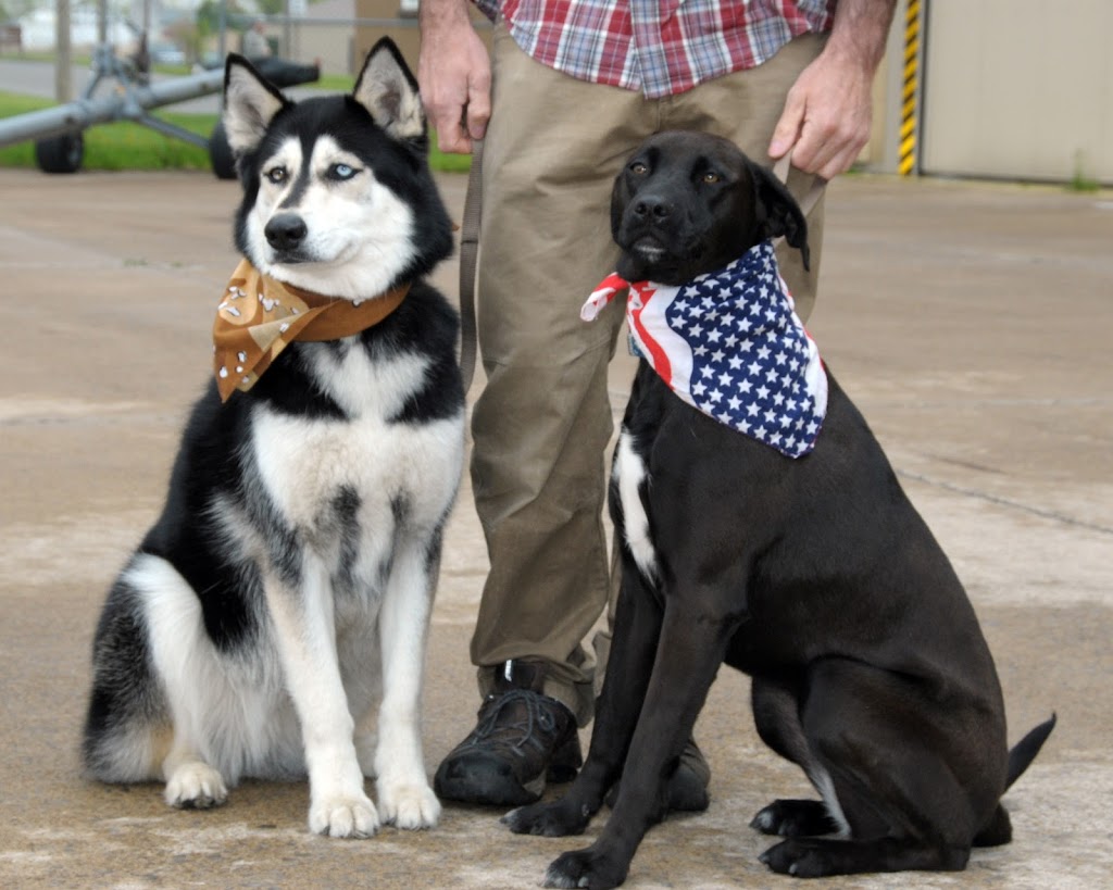 DELTA PET CARE | 5309 9 Ave, Delta, BC V4M 1V8, Canada | Phone: (604) 670-4171