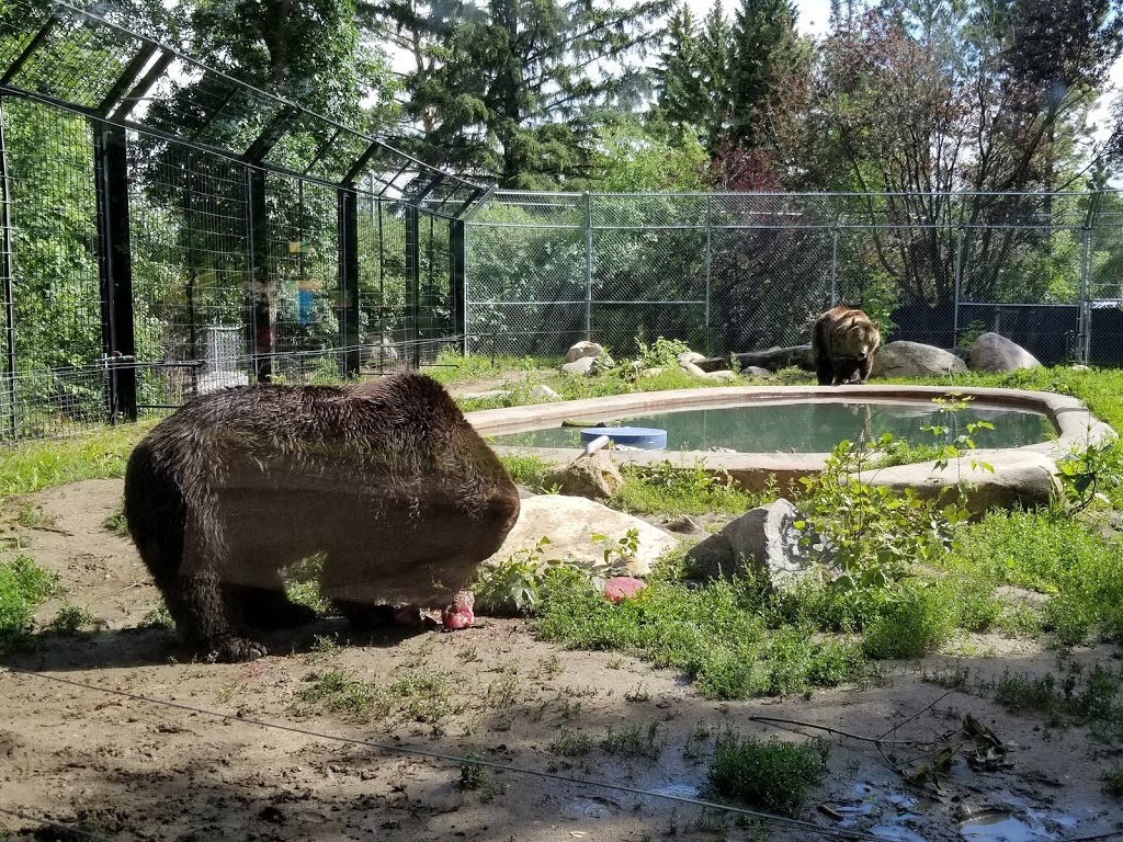 Saskatoon Zoo Society | 1903 Forestry Farm Park Dr, Saskatoon, SK S7S 1G9, Canada | Phone: (306) 975-3395