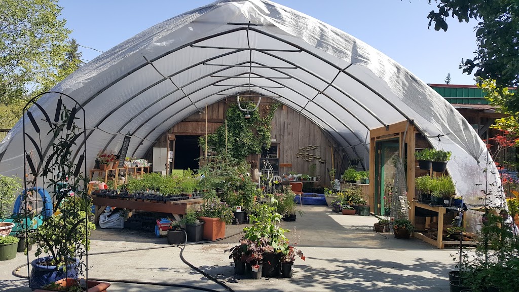 On Root Greenhouse | 673 Plaza Rd, Quathiaski Cove, BC V0P 1N0, Canada | Phone: (250) 204-2050