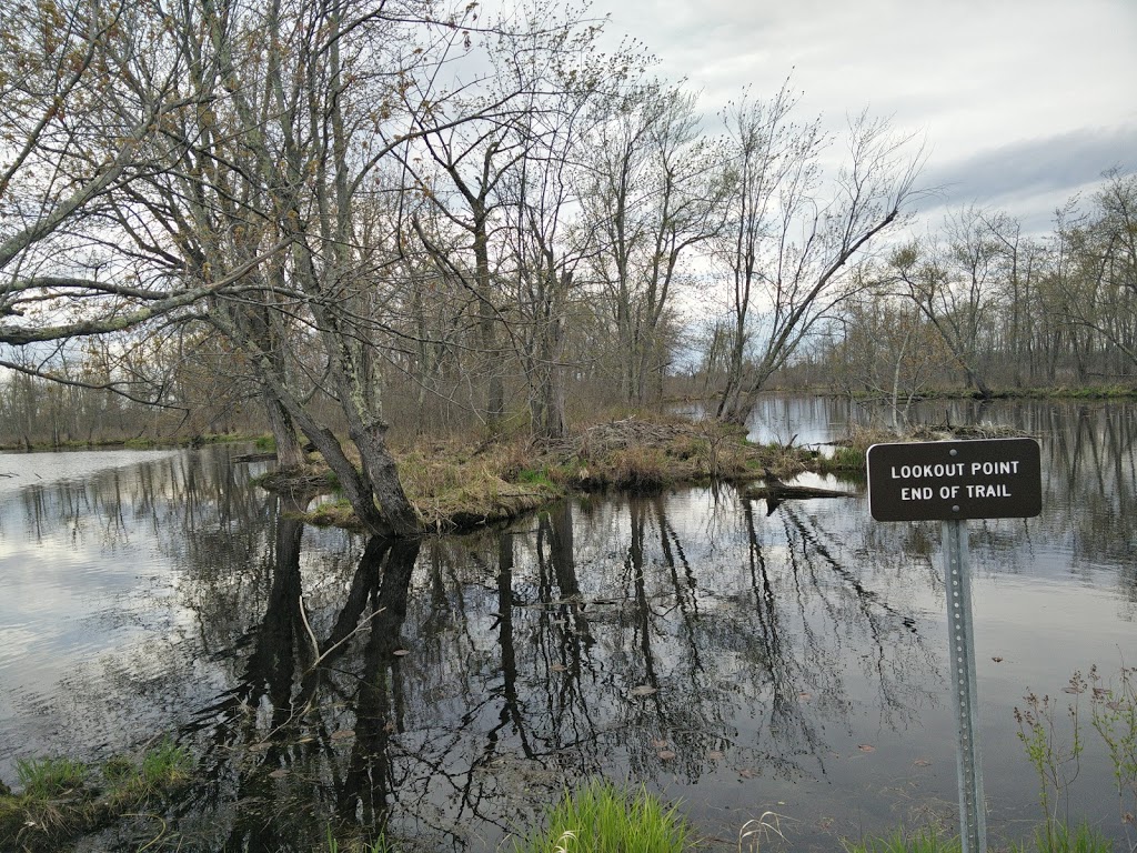 Missisquoi National Wildlife Refuge Admin Building And Visitor C | 29 Tabor Rd, Swanton, VT 05488, USA | Phone: (802) 868-4781