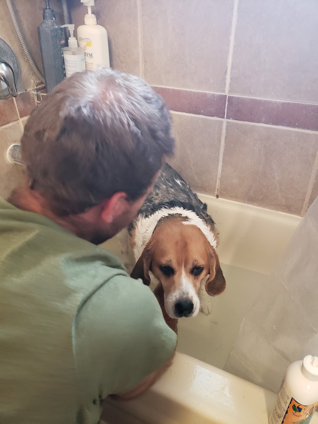Champlain Animal Hospital | 2673 Lakefield Rd, Peterborough, ON K9J 6X5, Canada | Phone: (705) 742-4243