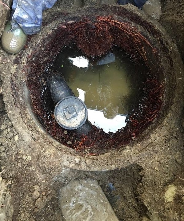 West Side Drainage Ladner/Tsawwassen | Admiral Way, Delta, BC V4K 0C3, Canada | Phone: (778) 846-5539