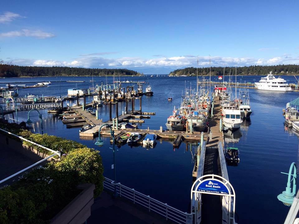 Equanimity Yacht Charters Inc. | 151 Promenade Dr, Nanaimo, BC V9R 5K4, Canada | Phone: (250) 591-9001