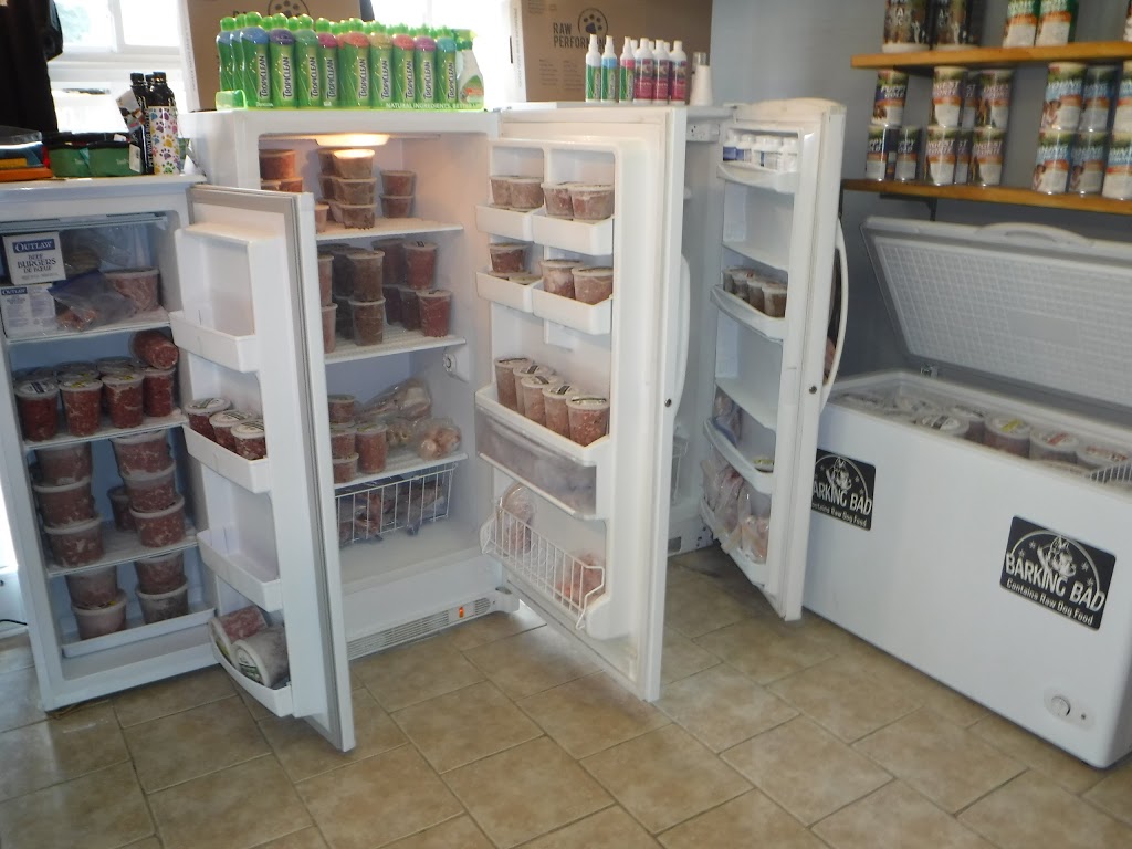 Barking Bad | 132 W Main St, Welland, ON L3C 5A2, Canada | Phone: (289) 697-3547