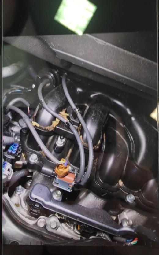 Regency Lexus Vancouver Parts & Service | 790 Terminal Ave, Vancouver, BC V6A 2M5, Canada | Phone: (604) 879-5195