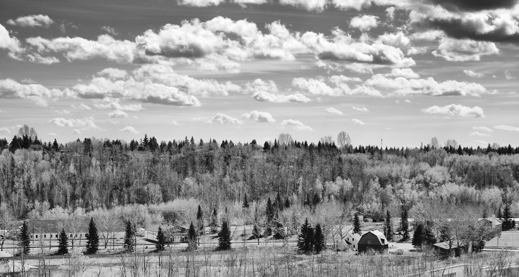 Mellon Farm | 1920 Street, Edmonton, AB T6H 4P3, Canada