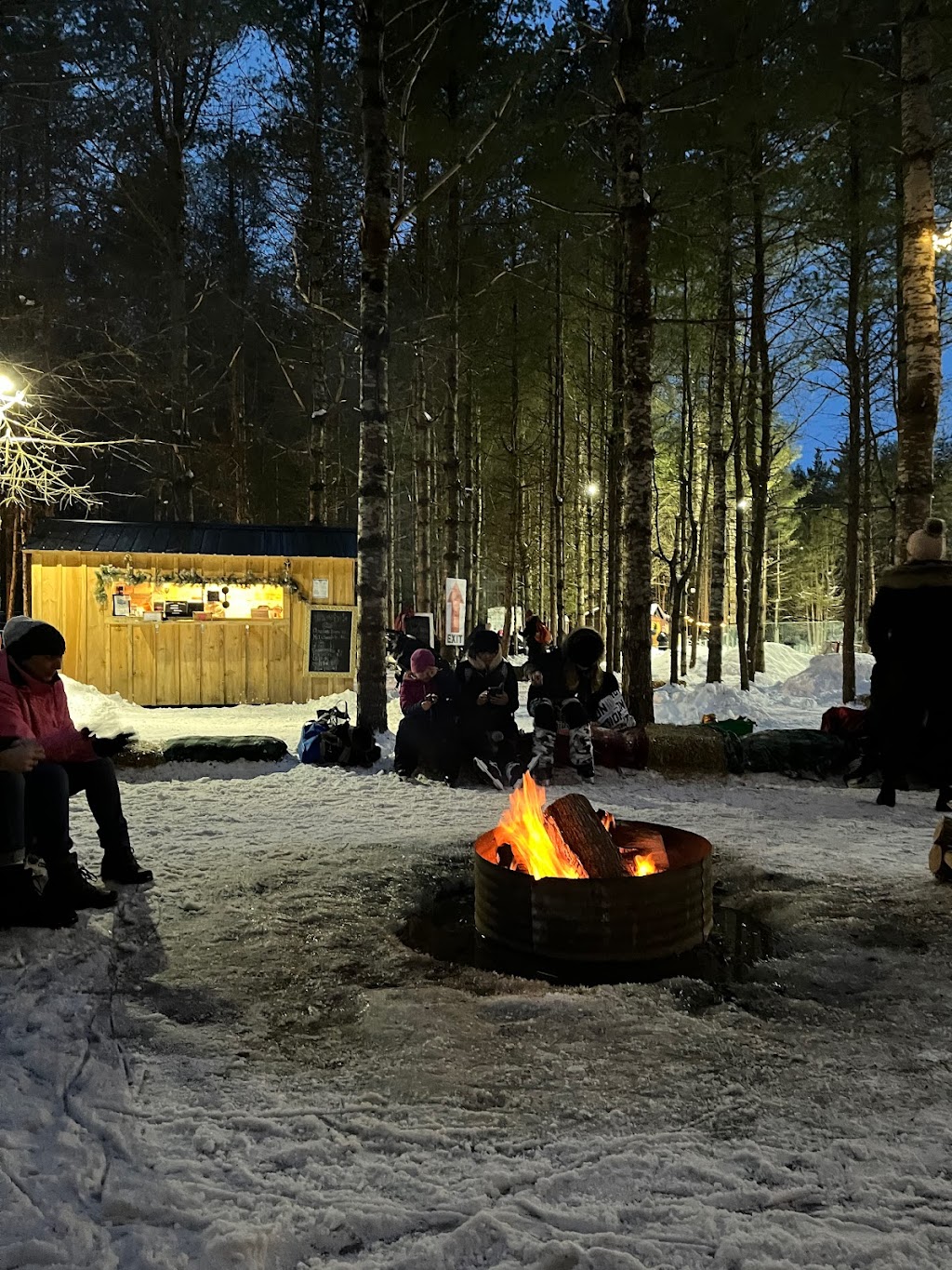 Icelynd Skating Trails | 6865 Fernbank Rd, Stittsville, ON K2S 1B6, Canada | Phone: (613) 705-7634