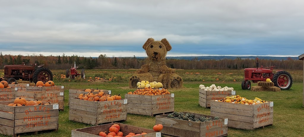 Blakes Pumpkin Jungle | 970 Shore Rd, Debert, NS B0M 1G0, Canada | Phone: (902) 890-2140