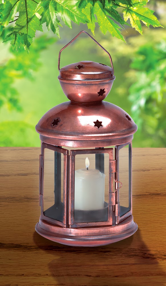 Woody Hollow Distributors | 174 B Jane St, Rodney, ON N0L 2C0, Canada | Phone: (226) 236-9370