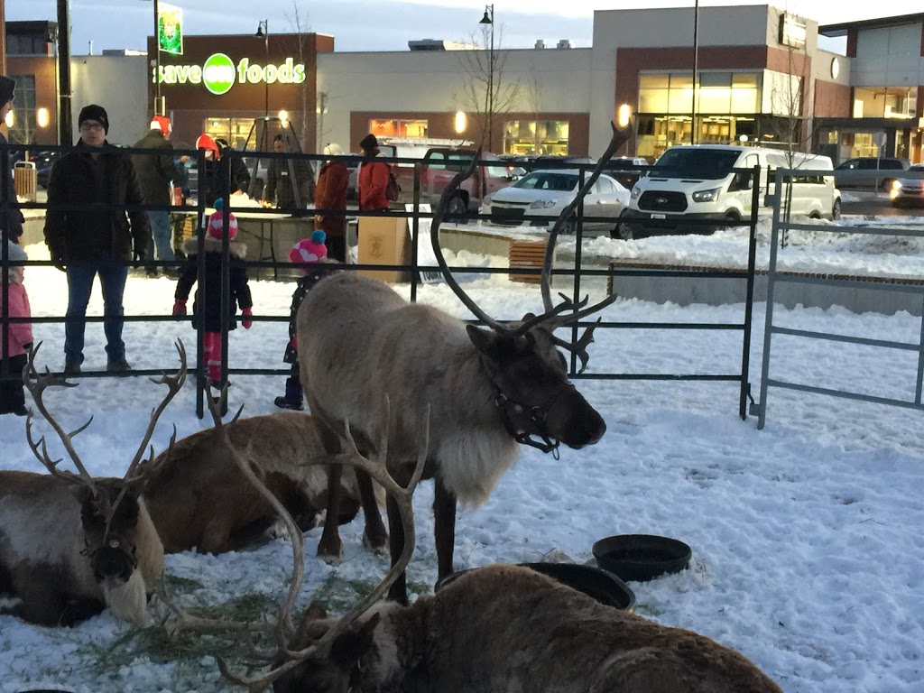 Coopers Town Promenade | 401 Coopers Boulevard SW, Airdrie, AB T4B 4J3, Canada | Phone: (403) 253-8180