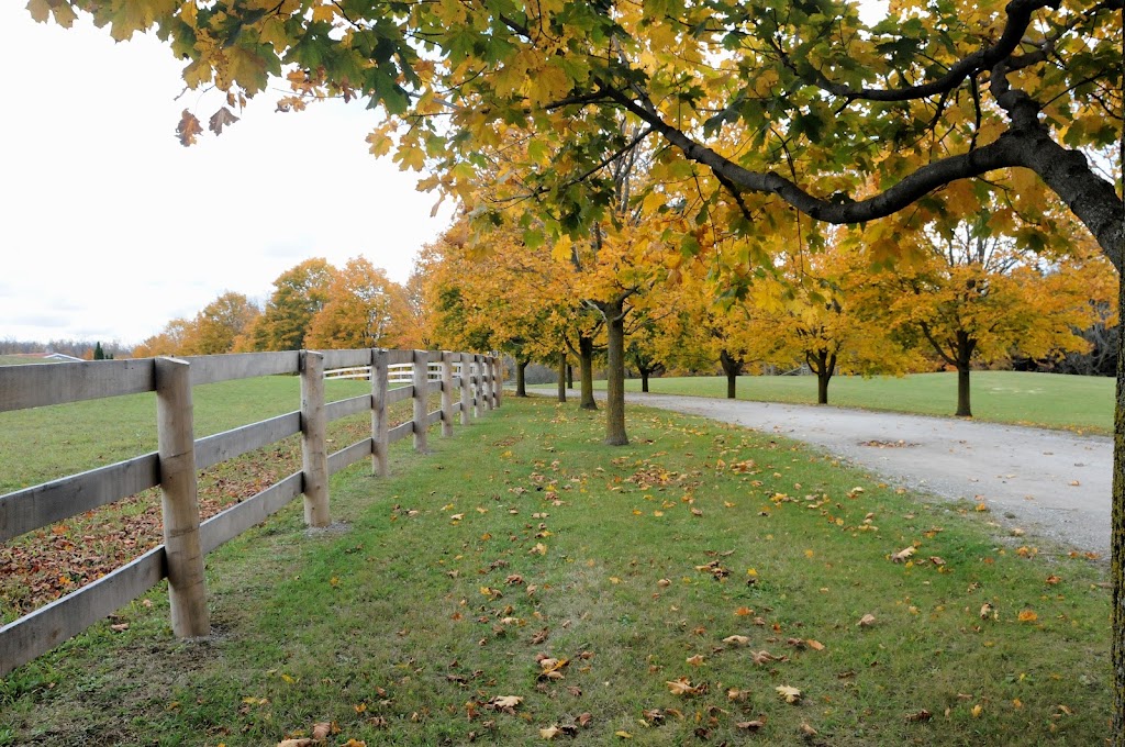 Someday Farm Equestrian Centre | 5192 Winston Churchill Blvd, Erin, ON L0P 1N0, Canada | Phone: (519) 927-9444