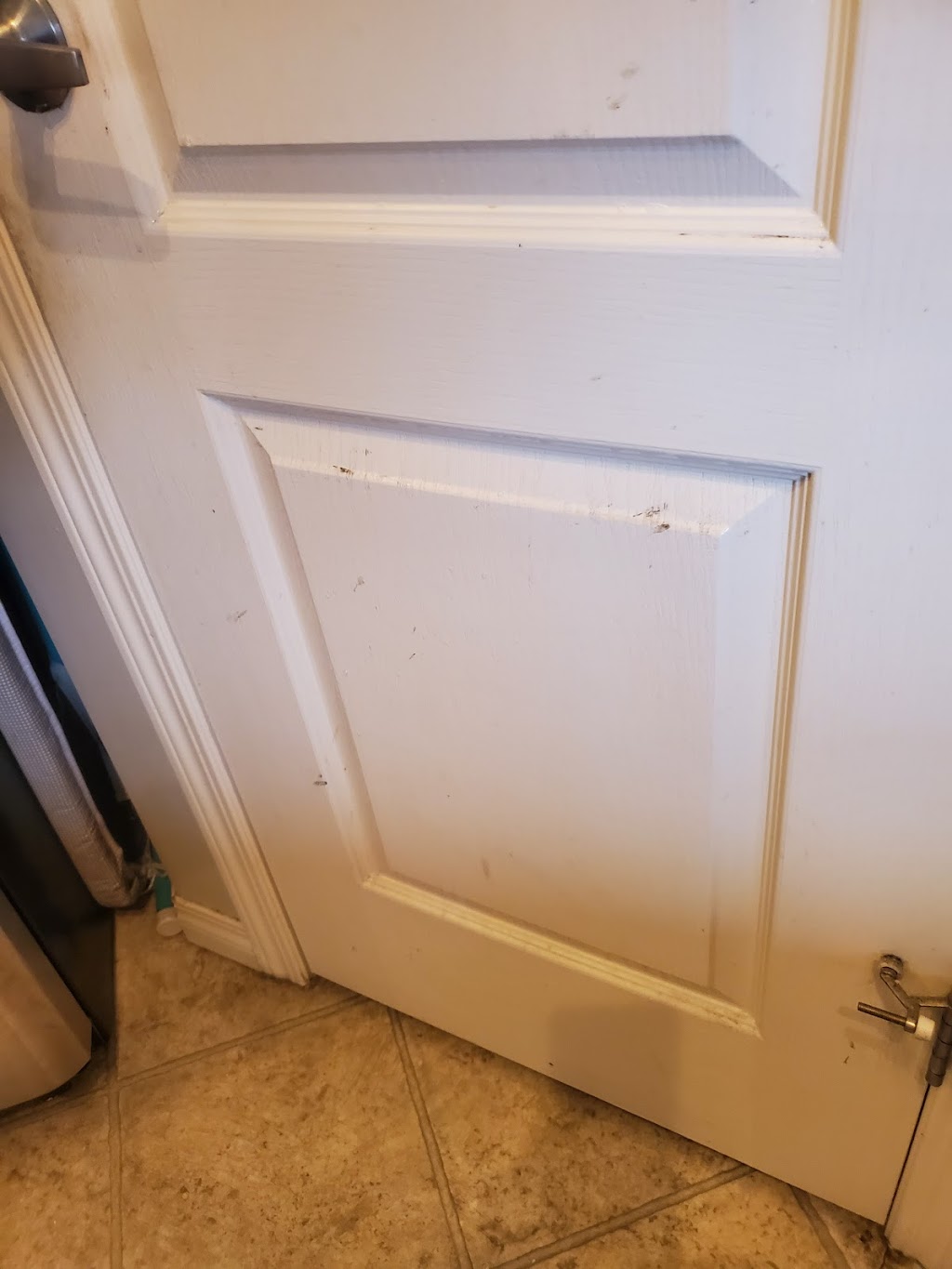 Misses Sparkles | 16 McKenzie Cl, Leduc, AB T9E 0P2, Canada | Phone: (780) 238-8939