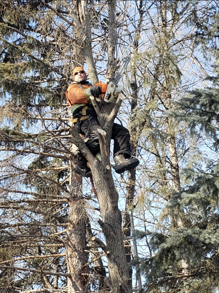 Prairie Oak Tree Services | 119 Hay Ave, Saint Andrews, MB R1A 2Z4, Canada | Phone: (204) 981-8731