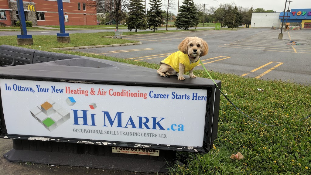 Hi-Mark Occupational Skills Training Centre Ltd | point of interest | 2508 Del Zotto Ave, Gloucester, ON K1T 3V7, Canada | 6138220188 OR +1 613-822-0188