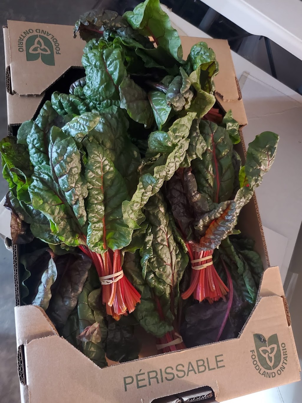 Farmia Agritech | 100 Kellogg Ln, London, ON N5W 2T5, Canada | Phone: (647) 990-0151