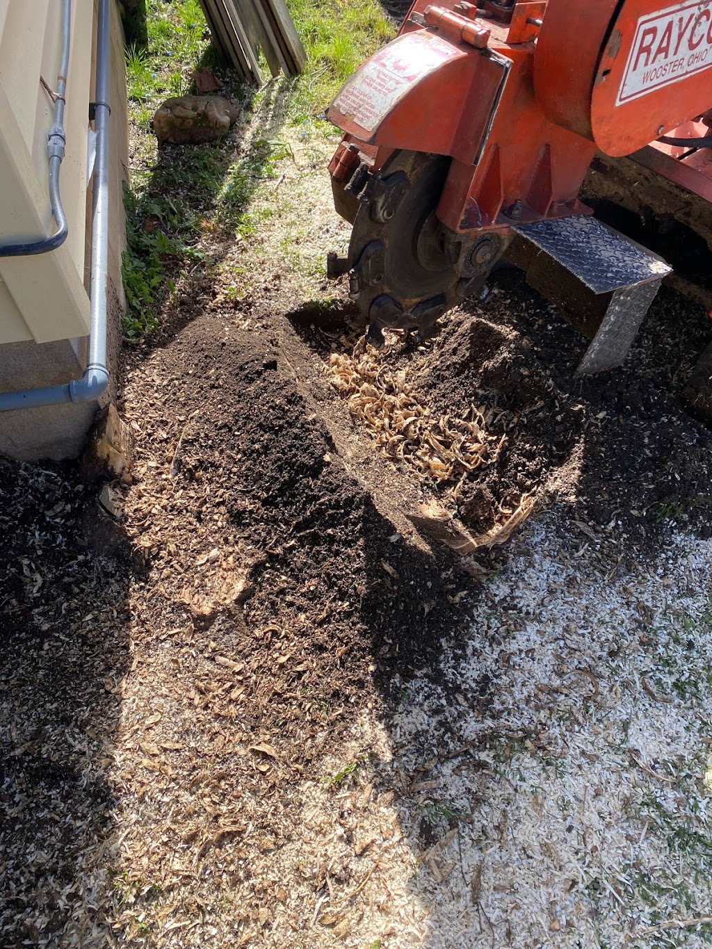 Dynamic Stump Grinding | 9 Dietz St, Mildmay, ON N0G 2J0, Canada | Phone: (204) 939-3371