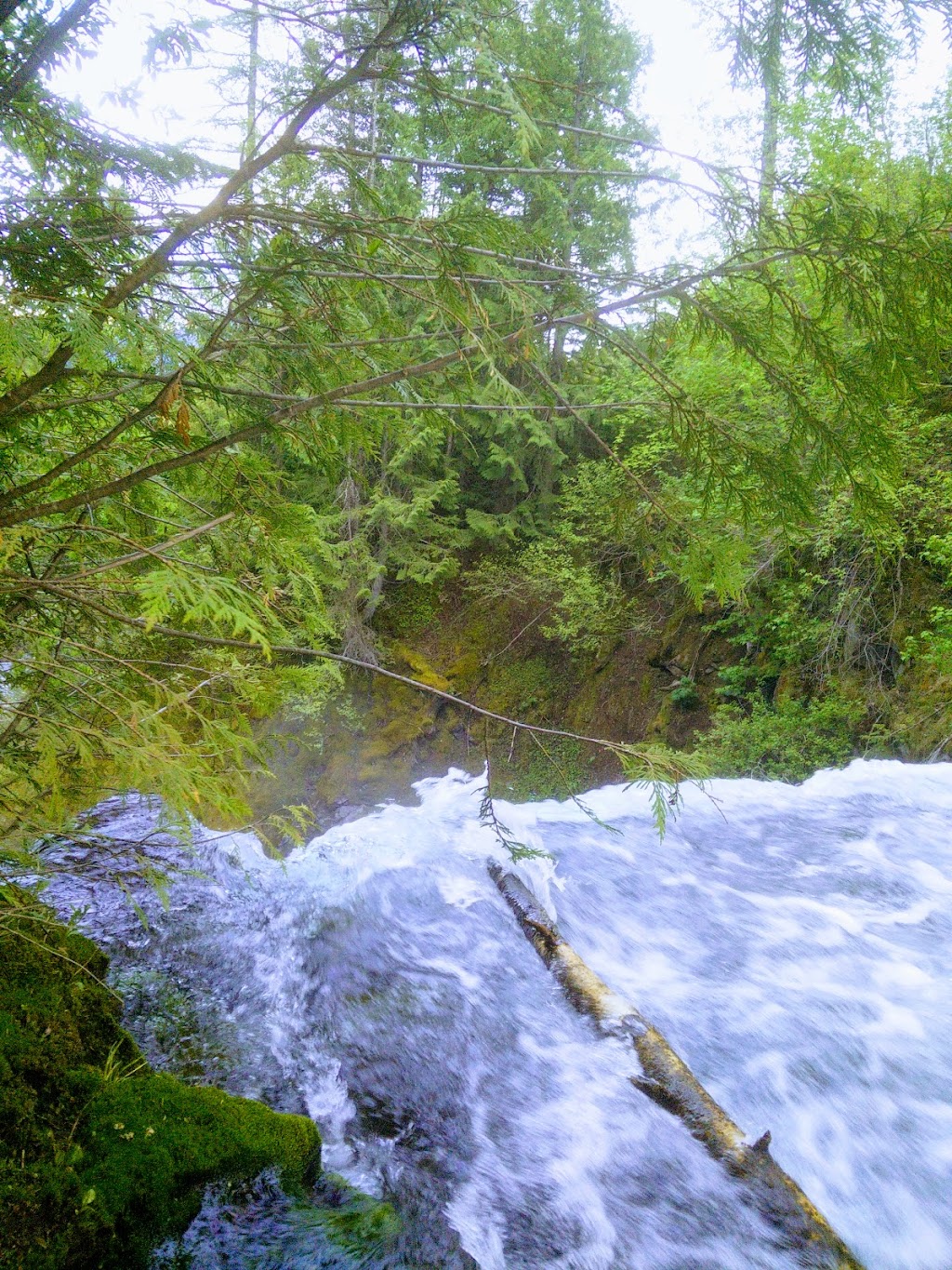 Fairy Creek Falls | 102 Commerce Rd, Fernie, BC V0B 1M5, Canada | Phone: (250) 423-6868