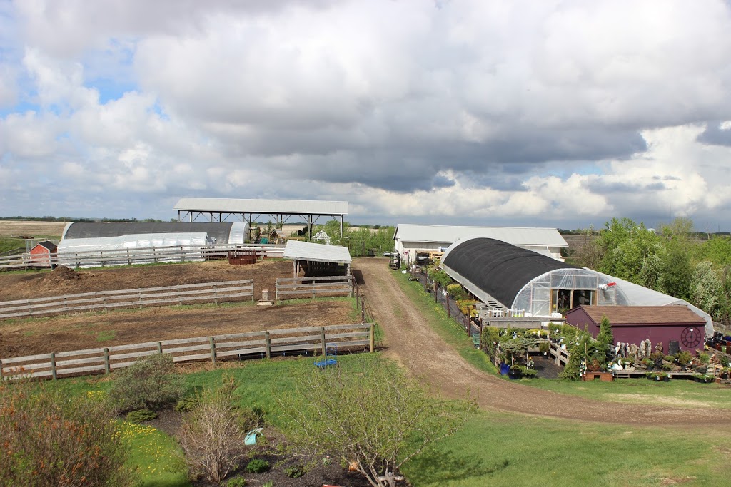 Echoglen Gardens | 18469 Twp Rd 41-4, Donalda, AB T0B 1H0, Canada | Phone: (403) 741-8196