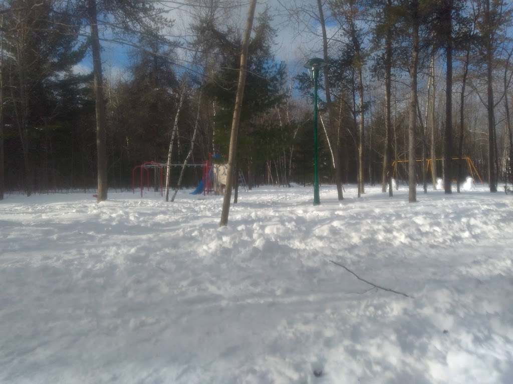 Parc Châteaudun | 900 Rue Saint-Laurent, Trois-Rivières, QC G8T 6C4, Canada