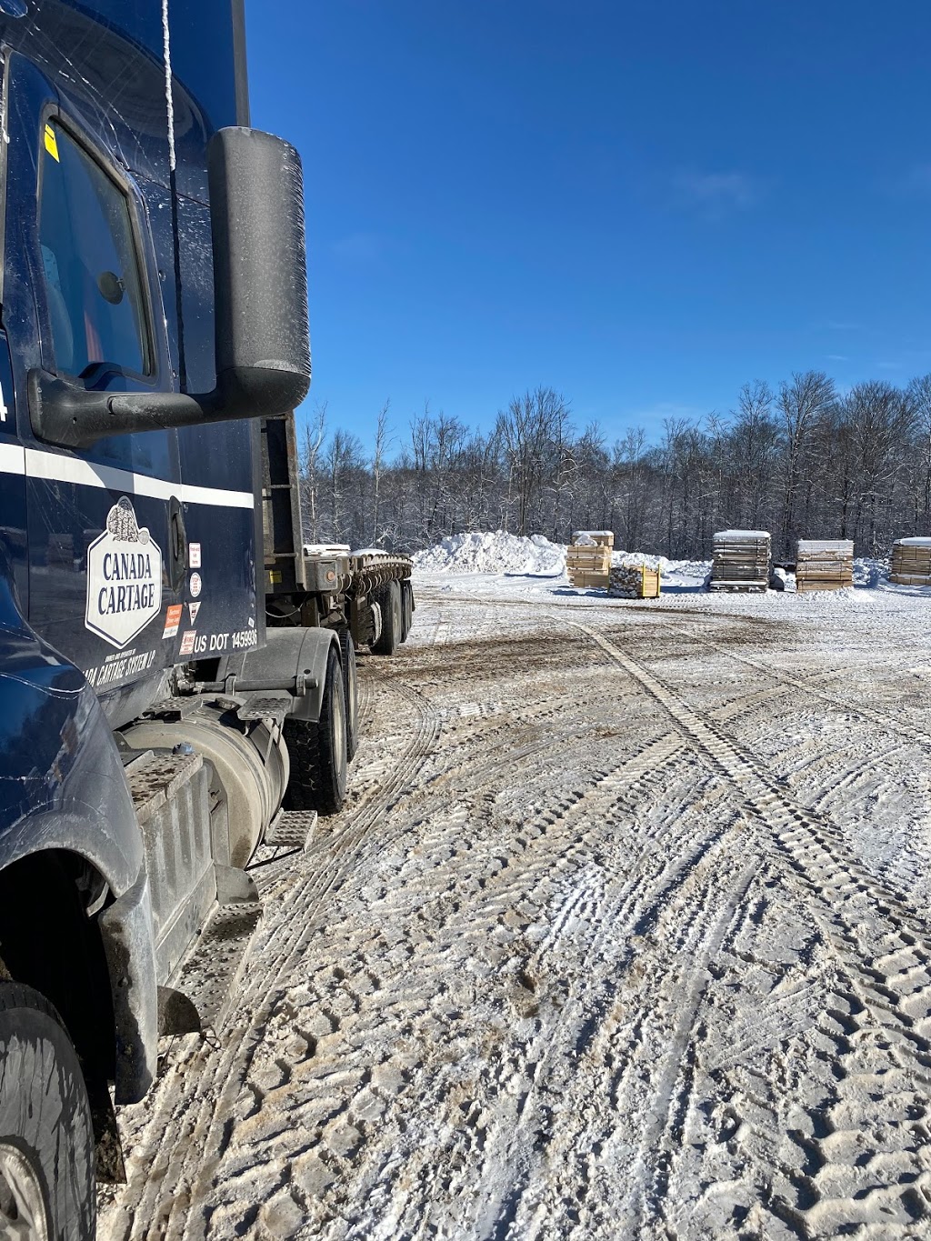 Haliburton Forest Sawmill 3798 Kennisis Lake Rd, Dysart et al, ON K0M 1S0, Canada