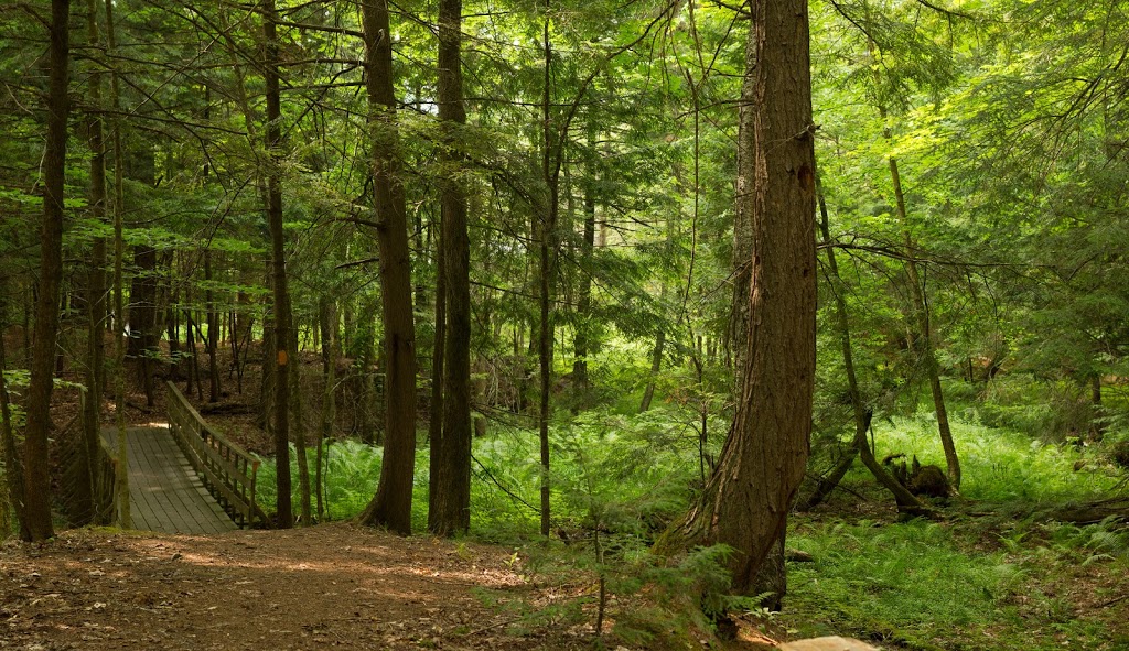 Grants Woods | 1485 Division Rd W, Orillia, ON L3V 6H2, Canada | Phone: (705) 326-1620
