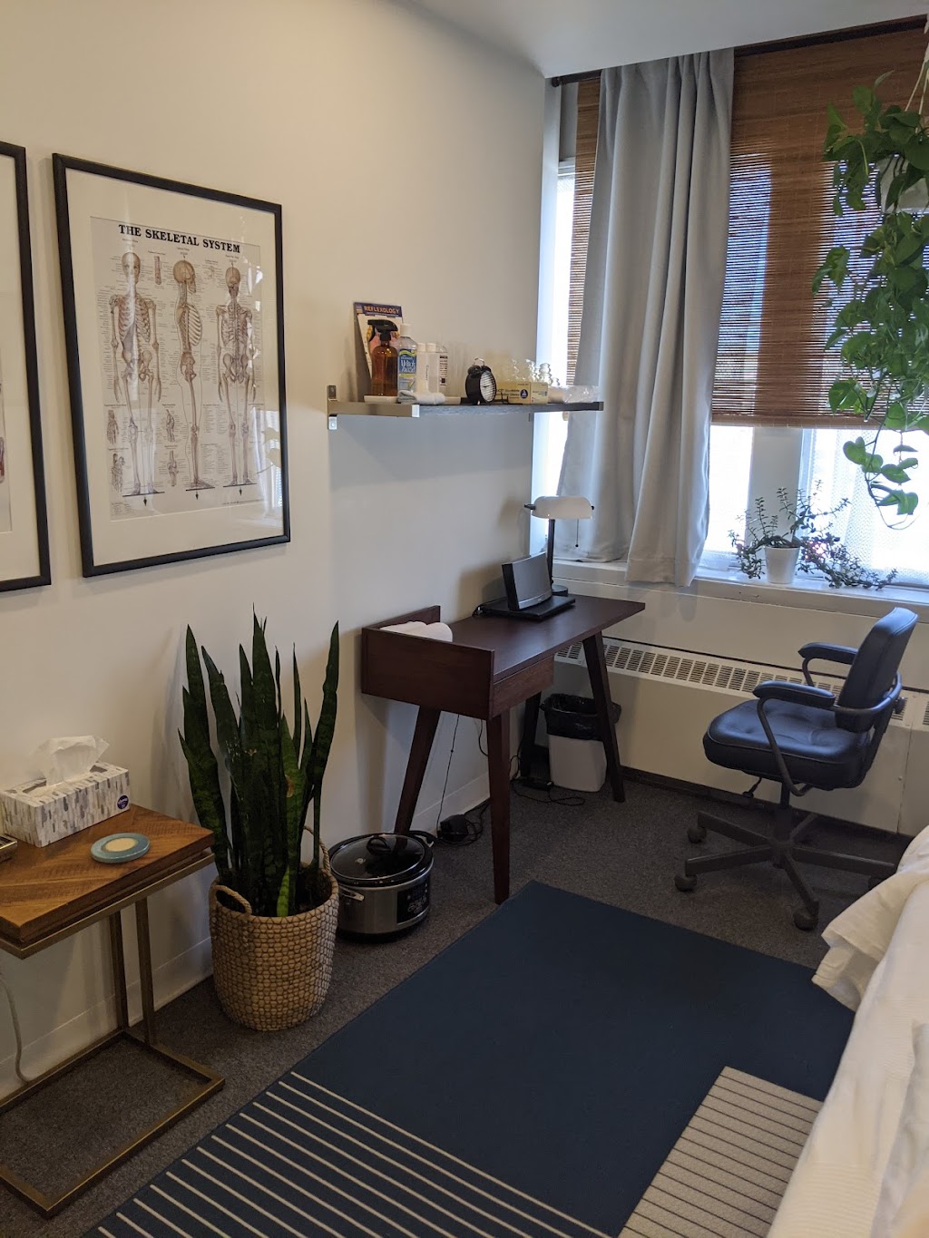 Alison Bayes, Registered Acupuncturist | 688 Coxwell Avenue Suite 203, Mailbox 10, Toronto, ON M4C 3B6, Canada | Phone: (416) 570-9925