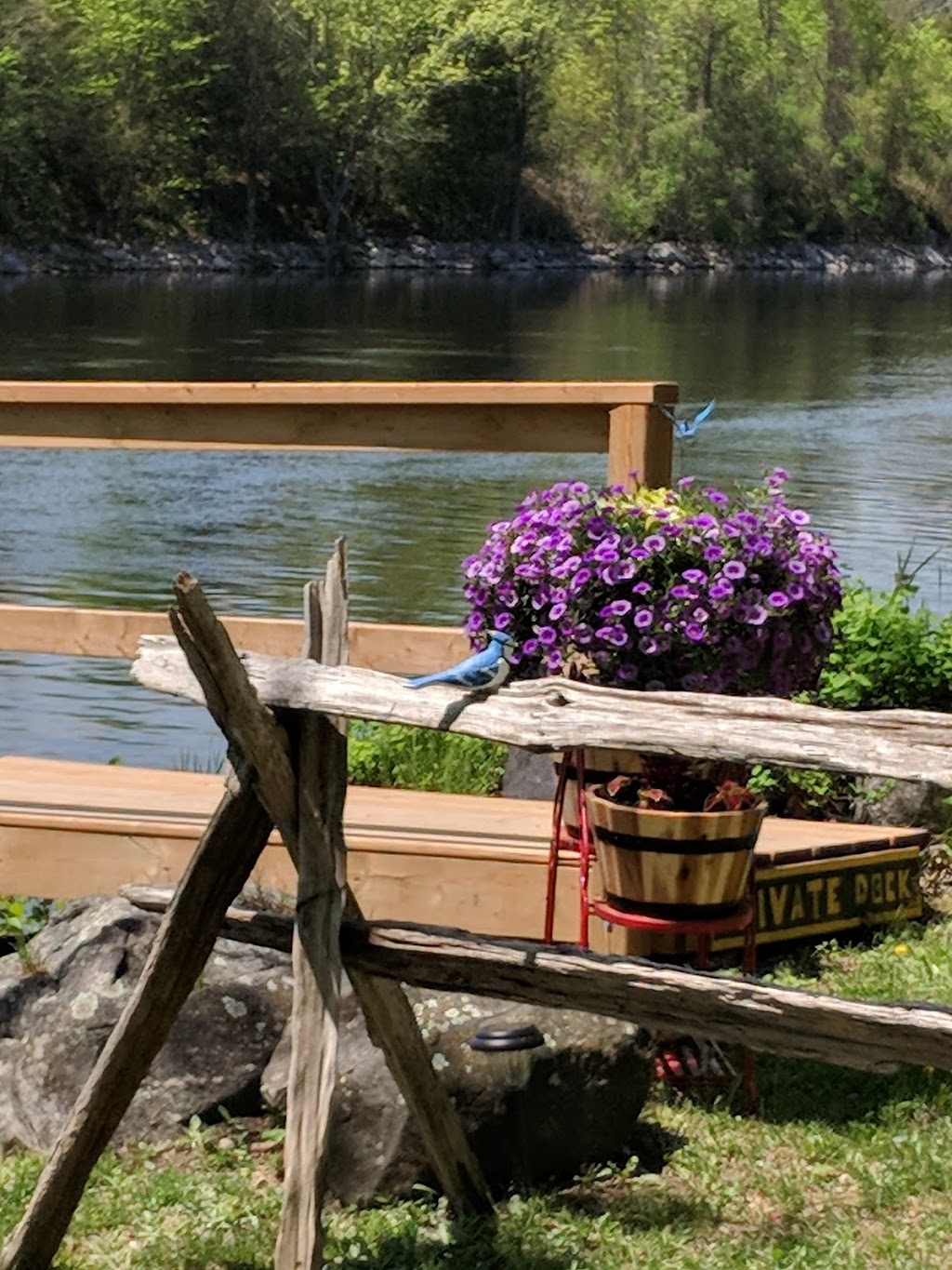 Coles Point Resort & Trailer Park | 332 Coles Point Rd, Campbellford, ON K0L 1L0, Canada | Phone: (705) 653-1227