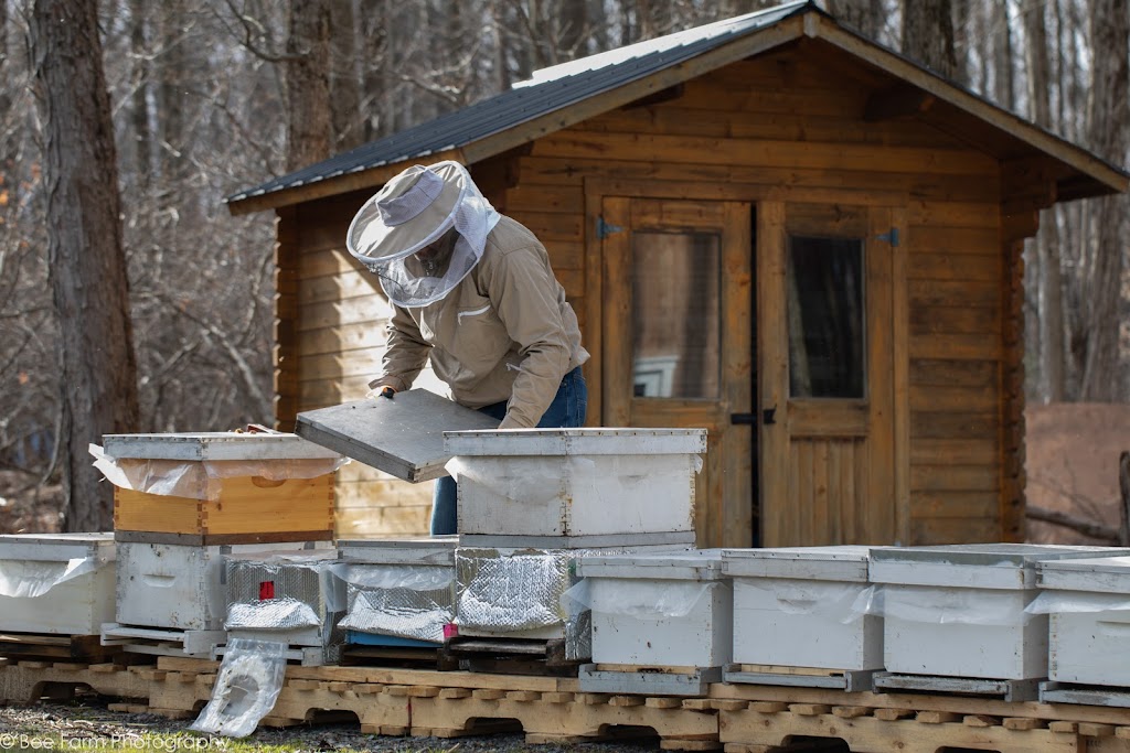 Bee Farm Photography | 239 Chemin Hallé O, Brigham, QC J2K 4J7, Canada | Phone: (514) 463-5547
