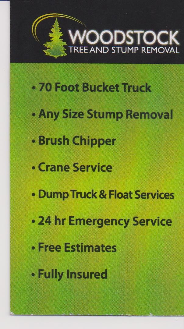 Woodstock Tree and Stump Removal | 495117 10 Line, Woodstock, ON N4S 7V7, Canada | Phone: (519) 535-1153