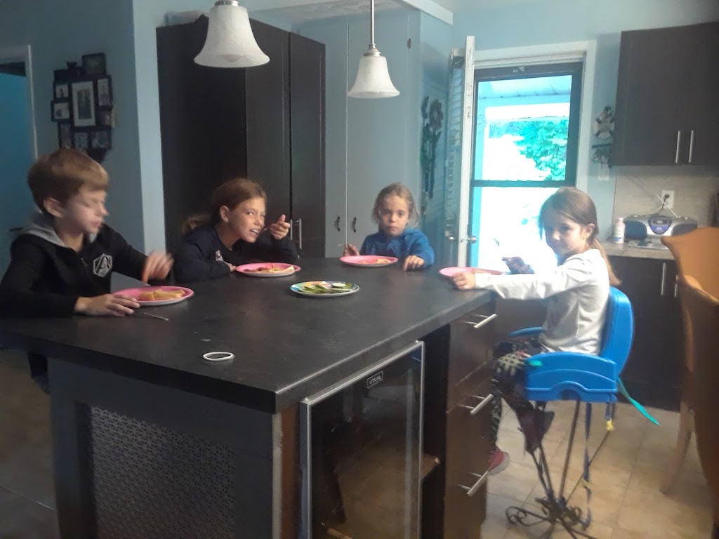 Familiprix Extra - Nathalie Houle | 70 Rue Saint Joseph Cp 510, Gracefield, QC J0X 1W0, Canada | Phone: (819) 463-4577