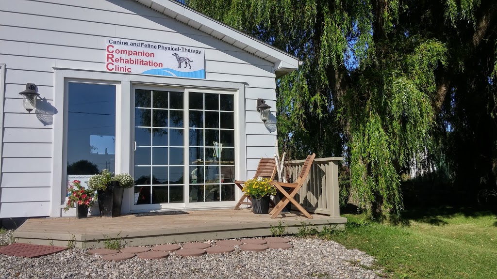 Companion Rehabilitation Clinic (By Appointment only) | 646 ON-6, Caledonia, ON N3W 1M6, Canada | Phone: (905) 920-5543