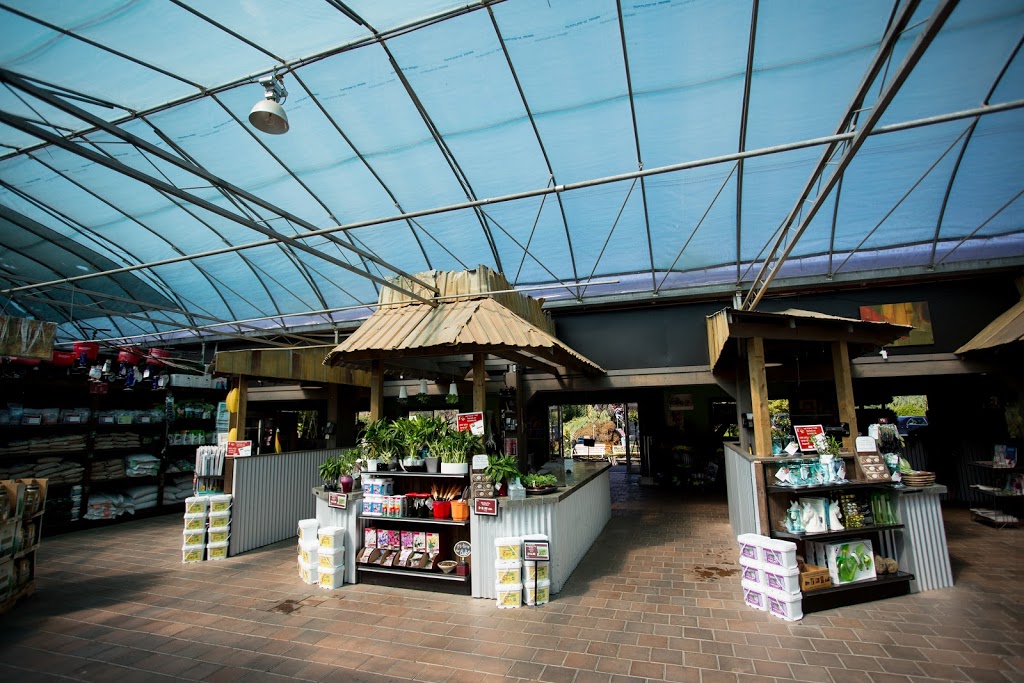 Cedar Rim Nursery Ltd | 7024 Glover Rd, Langley Twp, BC V2Y 2R1, Canada | Phone: (604) 888-4491