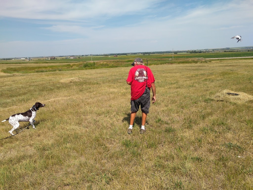 Goldwing Kennels | Range Rd 224, Magrath, AB T0K 1J0, Canada | Phone: (403) 758-6576